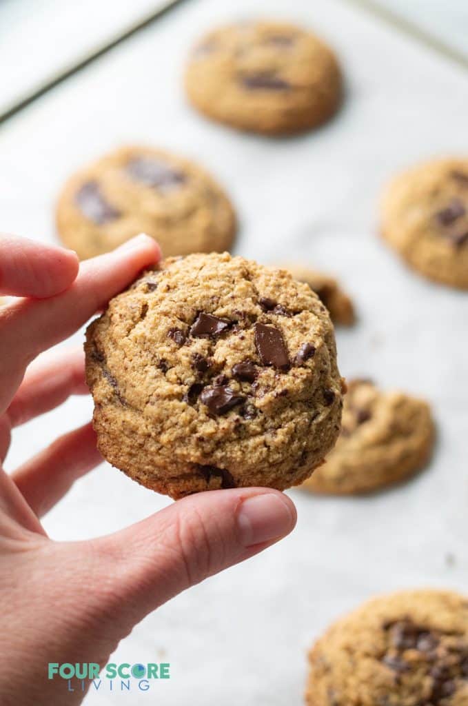 hand holding a Low Carb Keto Chocolate Chip cookie