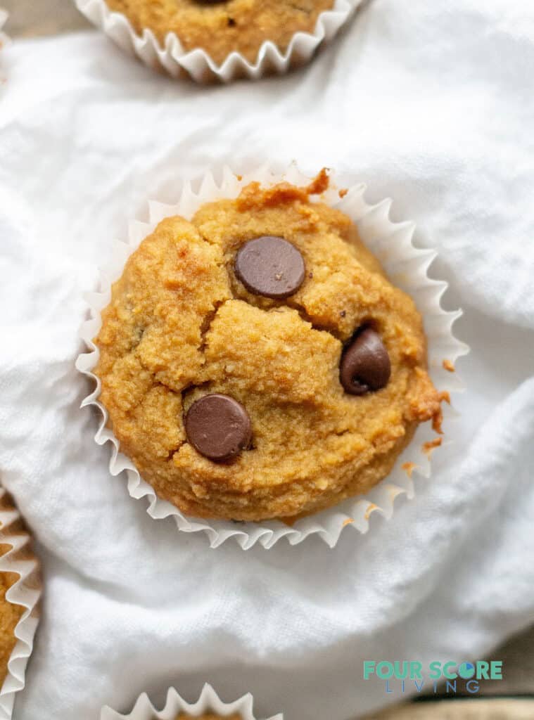 a close up of a low carb pumpkin muffin with chocolate chips