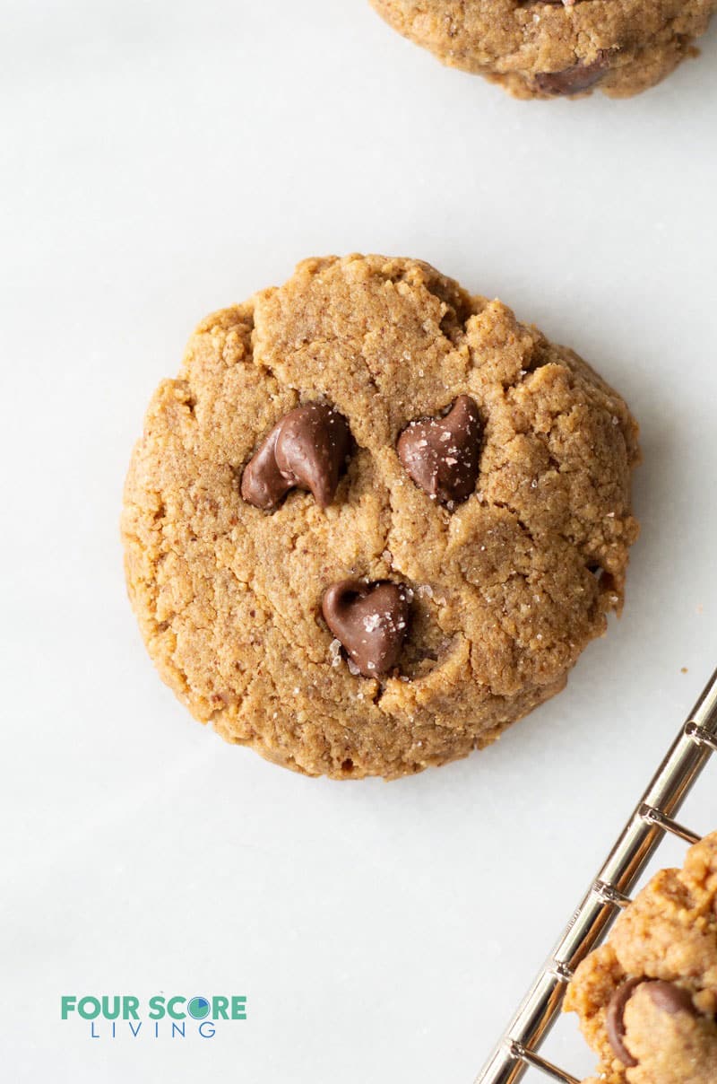 a brown chocolate chip keto almond butter cookie on a white background