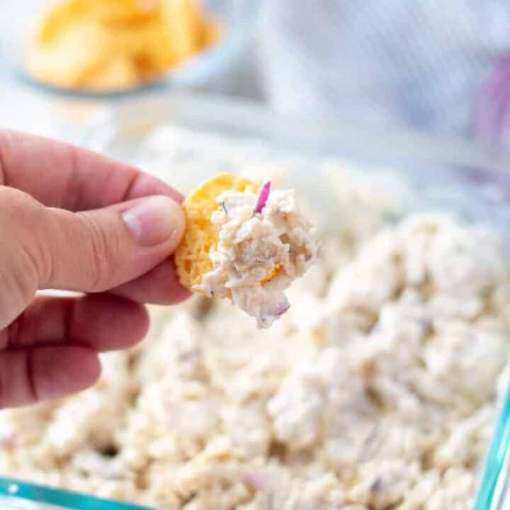 hand holding a pork rind with keto chicken salad on it