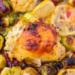 Roasted chicken thigh with brussels sprouts and lemons on a sheet pan, closeup