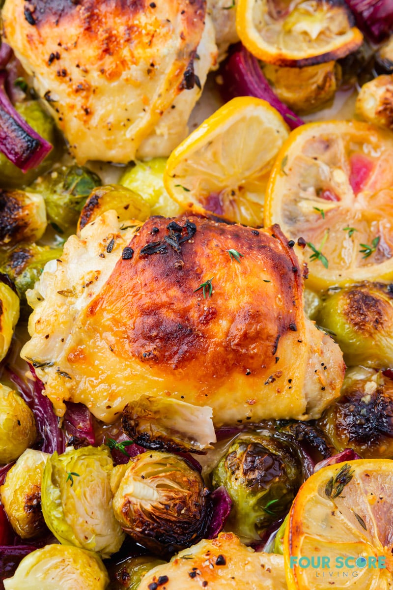 Roasted chicken thighs with brussels sprouts and lemons on a sheet pan, closeup