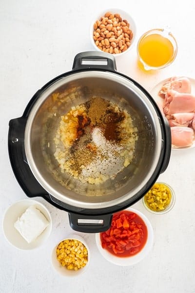 Top view photo of the Instant pot. There are spices at the bottom of the pot, including cumin, chili powder, paprika, oregano, salt, and pepper.