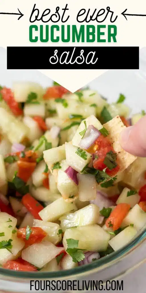 Pinterest photo of Cucumber Salsa