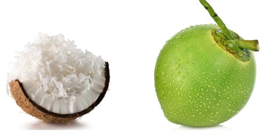 picture of a cross section of an opened coconut showing white flesh. Also a picture of a whole unopened, freshly picked green coconut