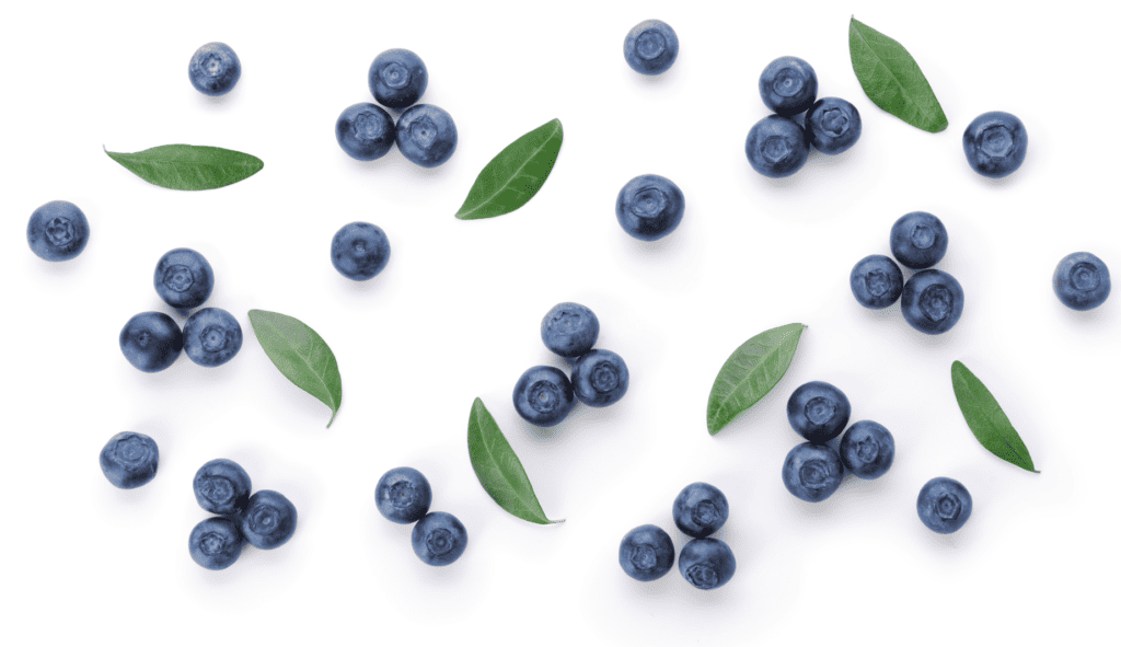 blueberries for almond flour blueberry recipe