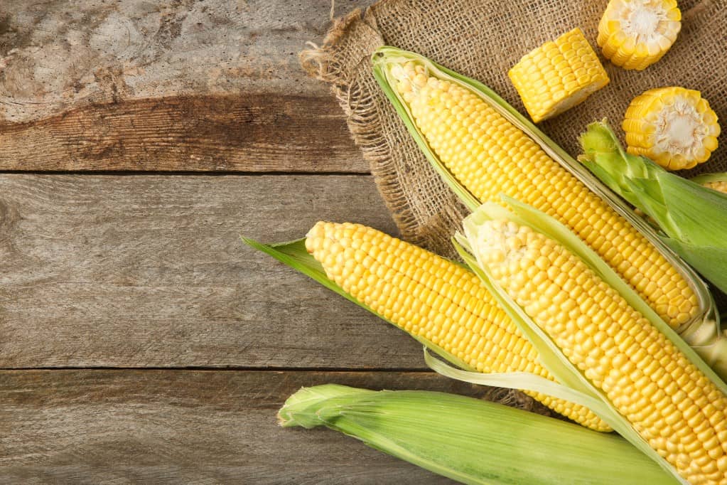 Aerial view of five ears of corn clustered together, three with the husk moved on one side and other two with husks intact and three cut ⅖ inch segments of corn on the cob layered on a square of burlap sac all resting on a rustic wooden table. 