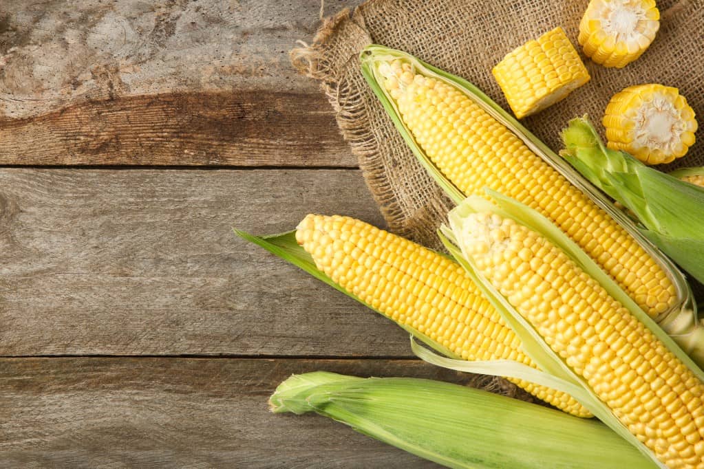 Aerial view of five ears of corn clustered together, three with the husk moved on one side and other two with husks intact and three cut ⅖ inch segments of corn on the cob layered on a square of burlap sac all resting on a rustic wooden table.