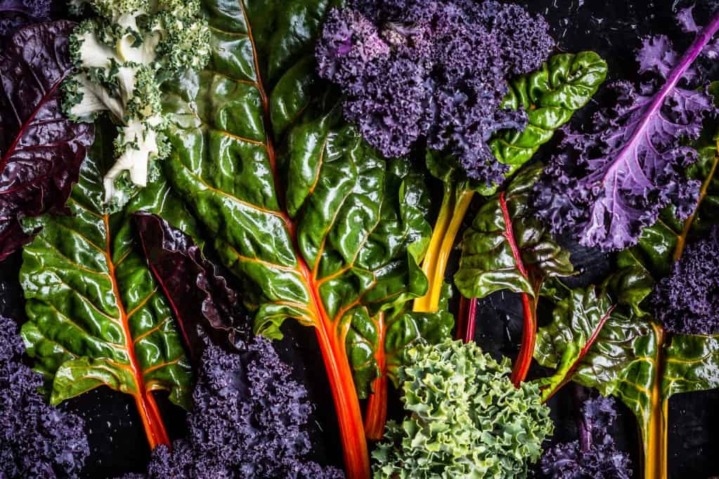 Aerial view of fresh leaves of curly green and purple kale and rainbow chard piled together taking up full view of image.