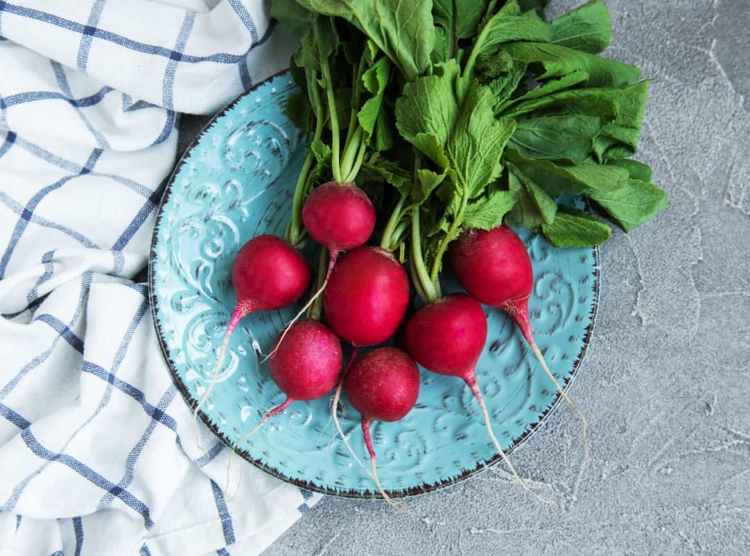 Aerial view of radishes with leafy green stems on a light blue ceramic plate with a white dish towel with blue plaid stripes all set on a light grey stone surface.