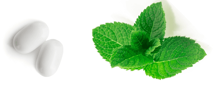 Two small white oblong breath mints on the left and a sprig of six fresh mint leaves on the right both on a white background.