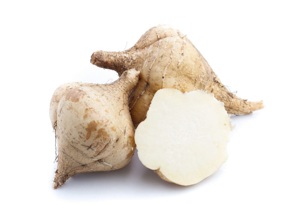 Front, diagonal view of two whole jicama root and one half of a whole jicama root in exposing the inner white flesh on a white background.