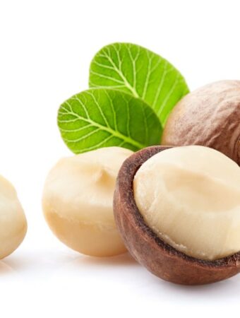 Closeup, front view of 2 shelled macadamia nuts and one macadamia nut shell split open revealing the nut inside, with two small green eaves on white background.