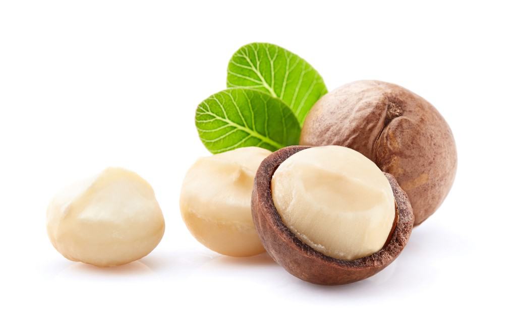 Closeup, front view of 2 shelled macadamia nuts and one macadamia nut shell split open revealing the nut inside, with two small green eaves on white background.
