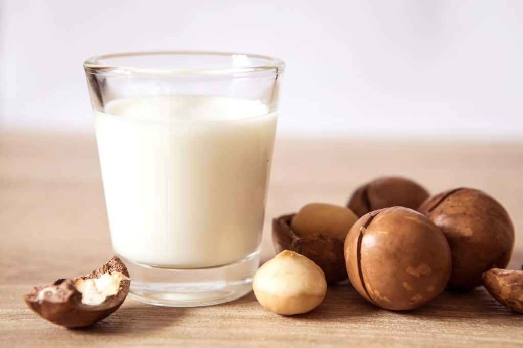 Close up front view of a small, clear glass of a macadamia nut milk on wooden table with three intact macadamia nut shells and one shell cracked open with the nut exposed and one macadamia nut on the table top surface next to the glass.