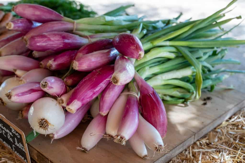 Diagonal aerial view of a bundle of shallots with green stems intact resting on a wood cutting board placed on top of hay in an outdoor setting.