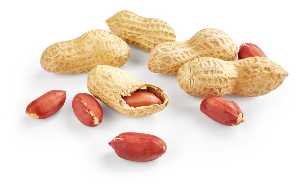 Closeup front view of five unshelled peanuts and four peanuts with the skins on, with a white background.