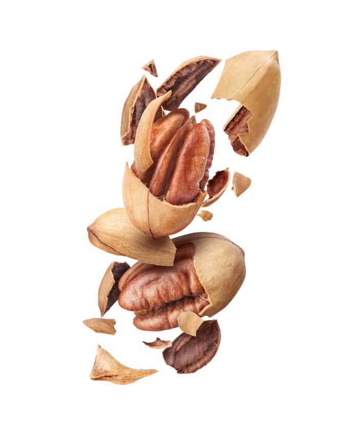 Two pecans with shells cracking and falling midair on a white background.