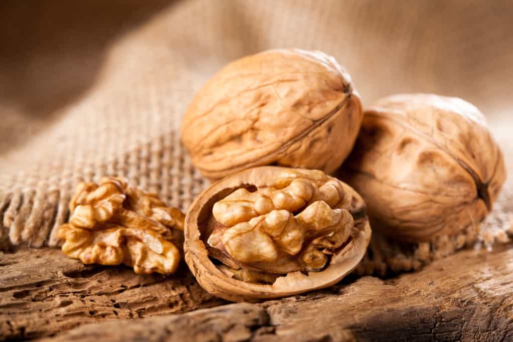 Close up frontal view of two intact walnuts in the shell and one broken open with the nut flesh exposed, one walnut half all resting on a rustic wooden surface with a burlap cloth in soft focus in the background.